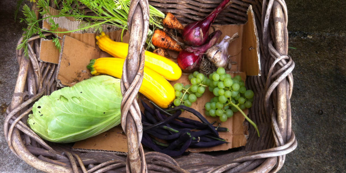 A basket of an abundance of crops